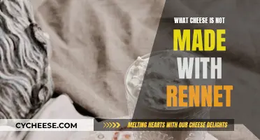 Cheese Without Rennet: Exploring Rennet-Free Cheeses