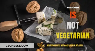 Cheese and Vegetarian Diets: Surprising Non-Vegetarian Varieties Revealed