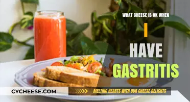 Gastritis-Friendly Cheese Choices: What’s Safe to Enjoy and Avoid