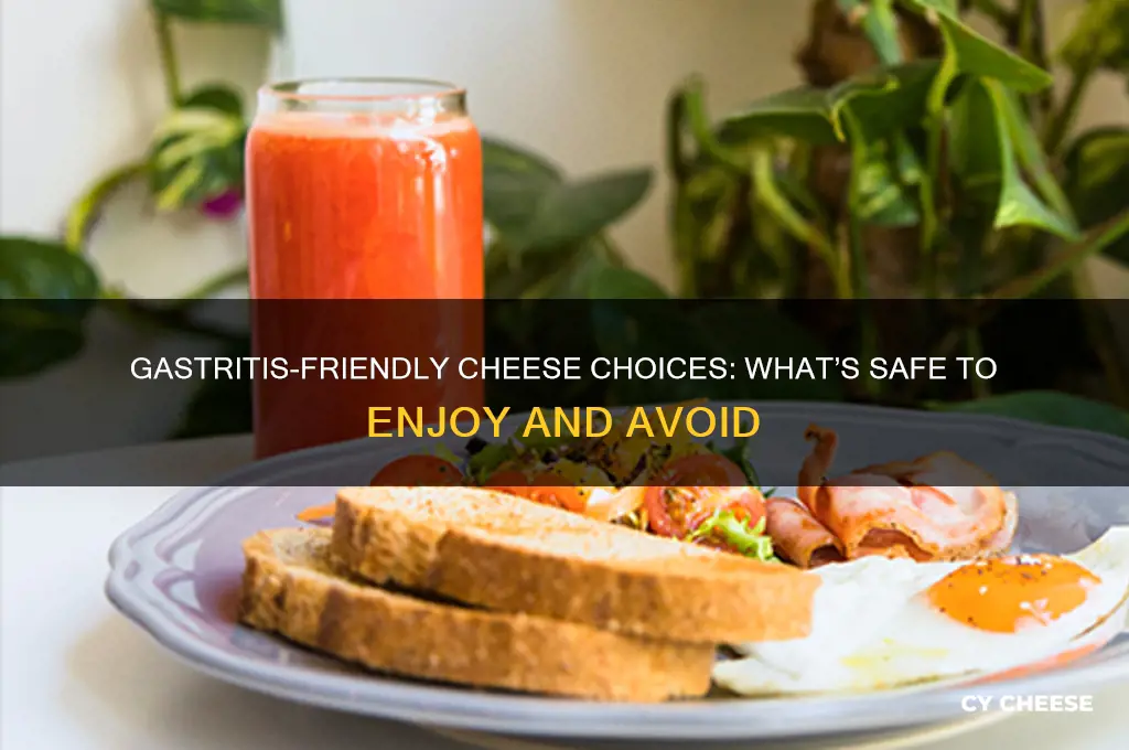 what cheese is ok when i have gastritis