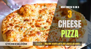 The Ultimate Guide to 3-Cheese Pizza: Unlocking the Perfect Blend