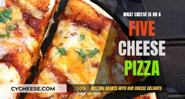 Unveiling the Five-Cheese Pizza's Golden Blend: A Cheesy Adventure