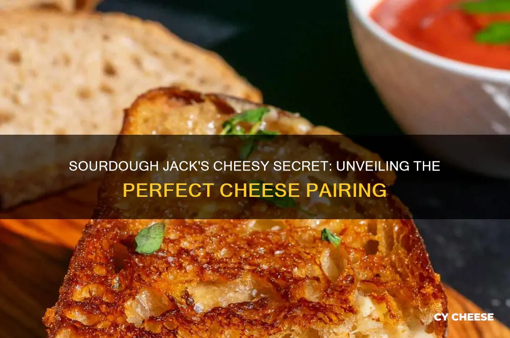 what cheese is on a sour dough jack