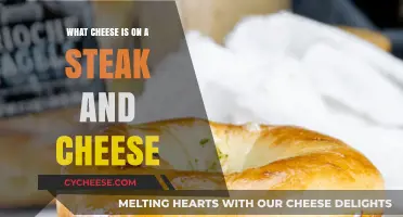 Discover the Perfect Cheese for Your Classic Steak and Cheese Sandwich