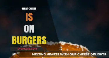 Top Burger Cheese Choices: From Cheddar to Swiss and Beyond