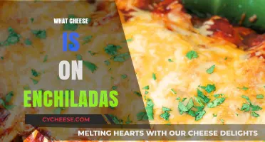 Discover the Perfect Cheese for Authentic Enchiladas: A Tasty Guide