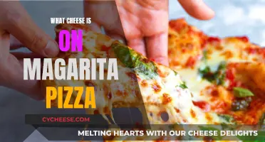 Unveiling the Cheesy Secret: Margarita Pizza's Golden Topping