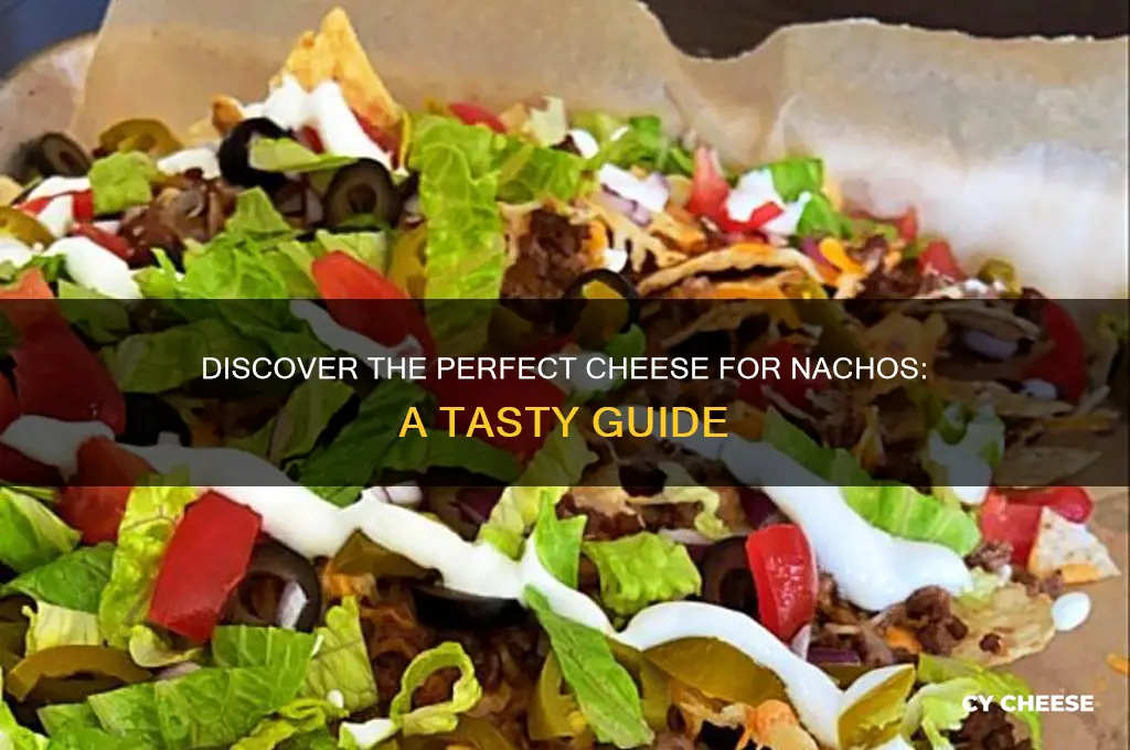 what cheese is on nachos