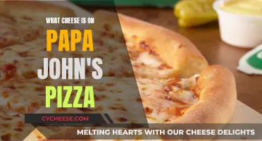 Papa John's Pizza: Unraveling the Cheesy Mystery