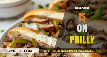 Philly Cheese Secrets: Unveiling the Classic Cheesesteak Topping