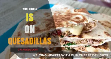 Discover the Perfect Cheese for Your Quesadillas: A Melty Guide