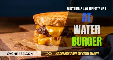 Water Burger's Patty Melt: Cheese, Please!