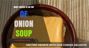 Discover the Perfect Cheese Topping for Classic French Onion Soup