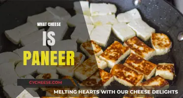 Paneer Unveiled: Understanding India's Beloved Fresh Cheese Delight