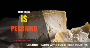 Discover Pecorino: Italy's Ancient Sheep's Milk Cheese Explained