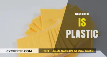 Is Your Cheese Plastic? Uncovering the Truth About Processed Cheeses