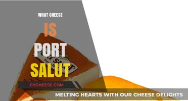 Discover the Creamy Delight: What Cheese is Port Salut?