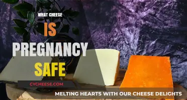 Pregnancy-Safe Cheese Guide: Enjoying Dairy Without Worry