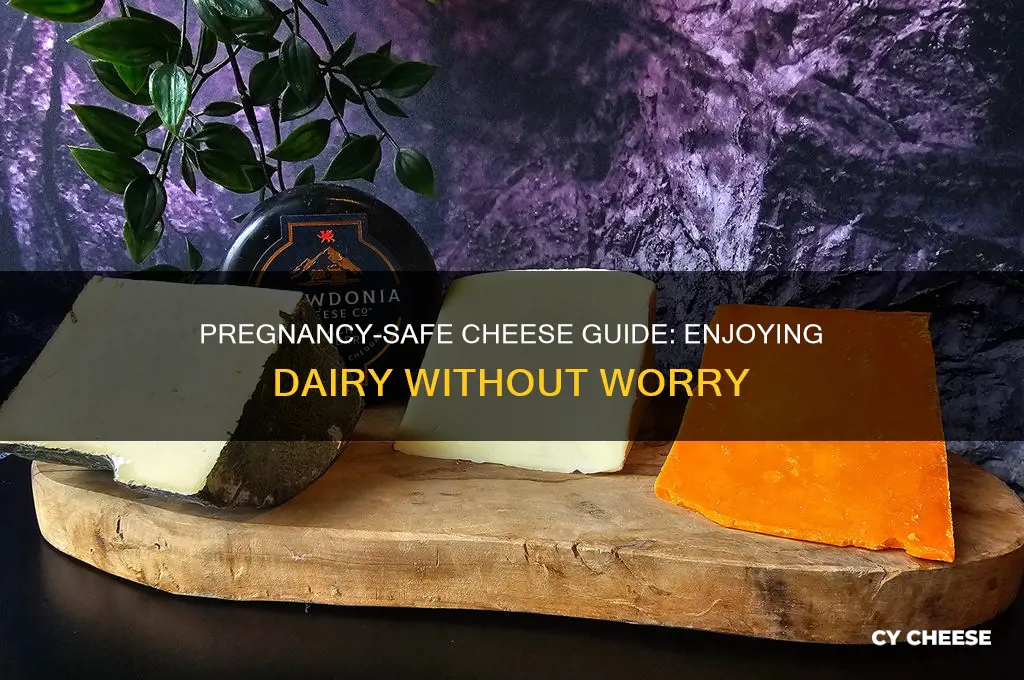 what cheese is pregnancy safe