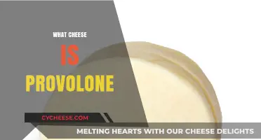 Discover Provolone Cheese: Origins, Flavor, Uses, and Varieties Explained