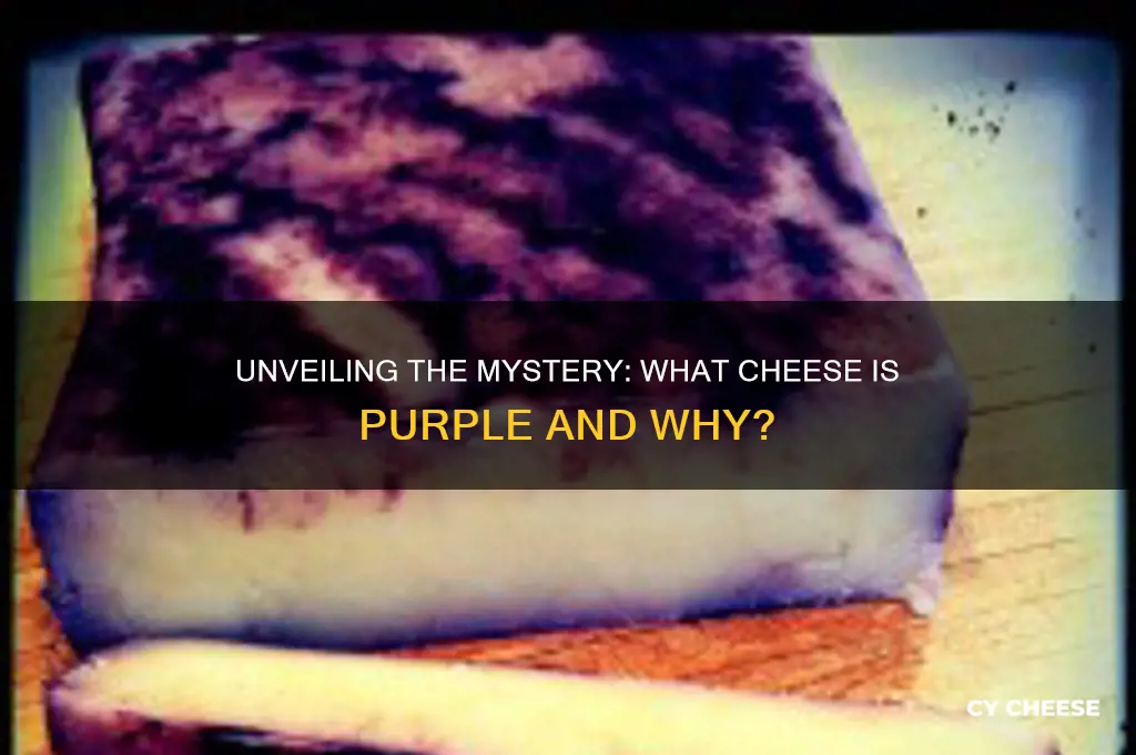 what cheese is purple