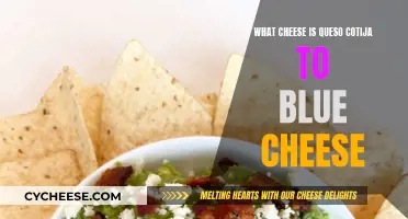 Cheese Exploration: Cotija, Blue Cheese and Their Unique Traits