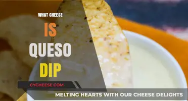 What Cheese is Queso Dip: Unraveling the Melty Mystery