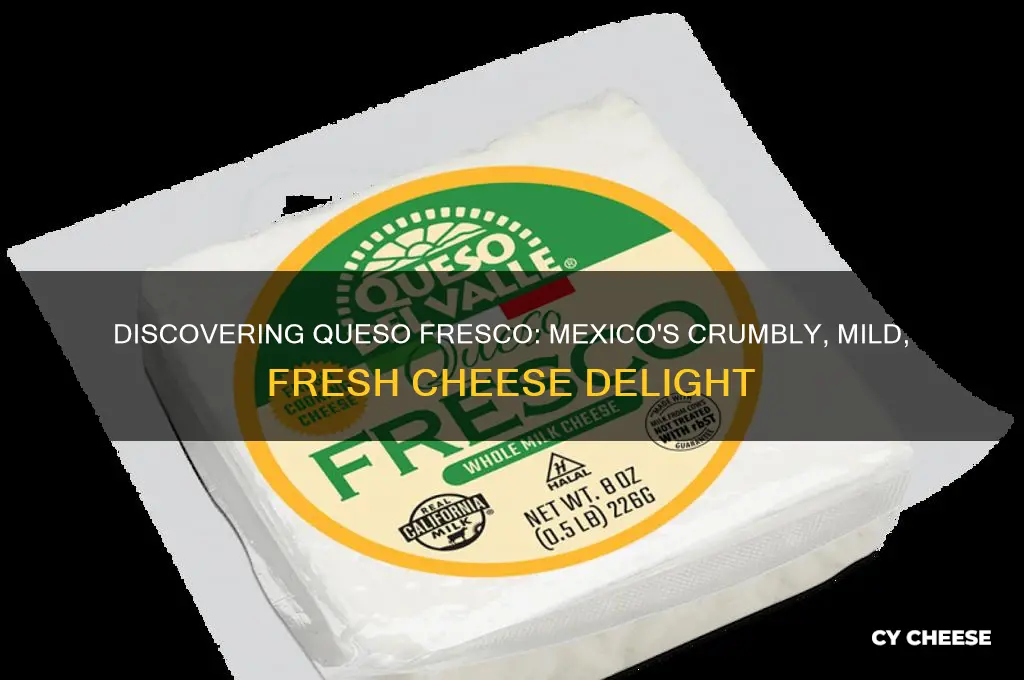 what cheese is queso fresco