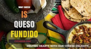Queso Fundido Explained: Discover the Cheesy Mexican Favorite