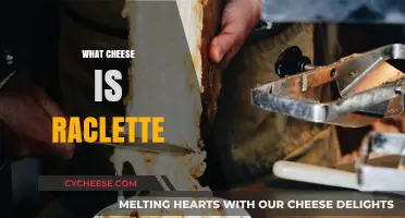 What is Raclette Cheese? A Melty Alpine Delight Explained