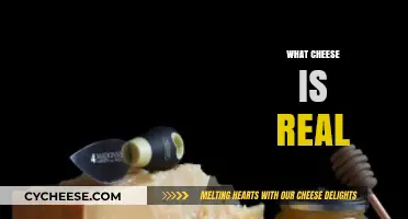Unveiling the Truth: What Cheese is Real and Authentic?