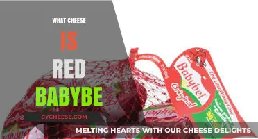 Unveiling the Mystery: What Cheese is Red Babybel?