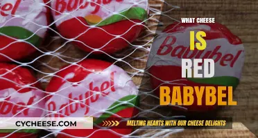 Unveiling the Mystery: What Cheese is Red Babybel Made Of?