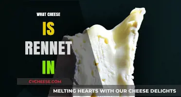 Understanding Rennet: Which Cheeses Contain This Coagulant and Why