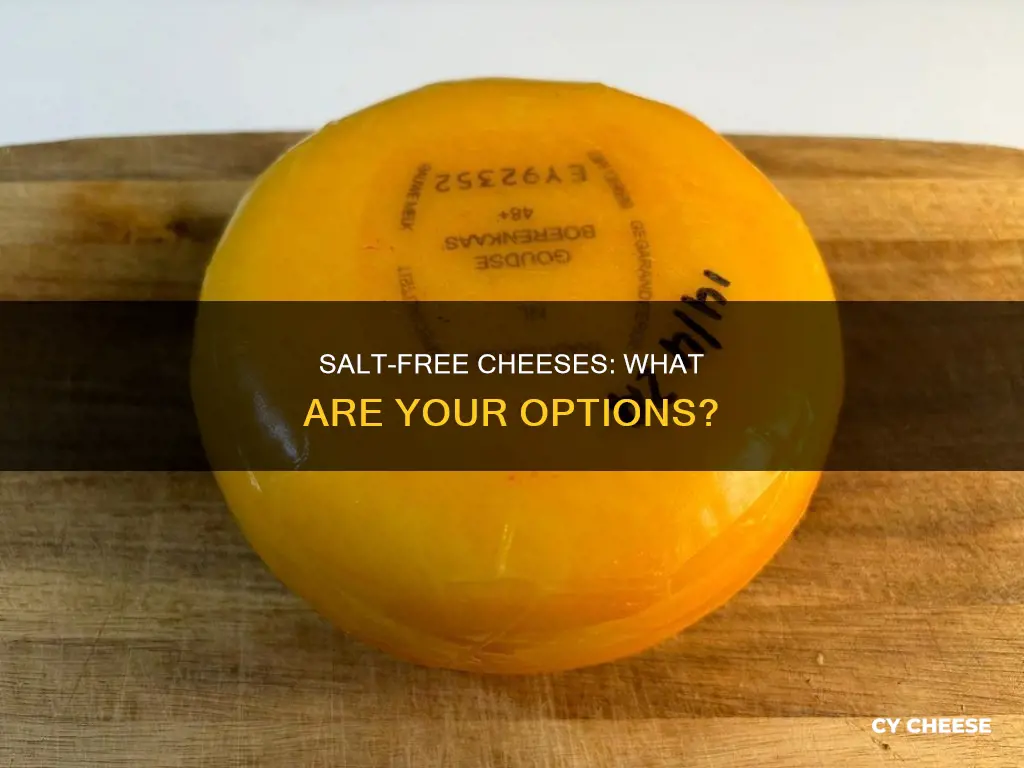 what cheese is salt free