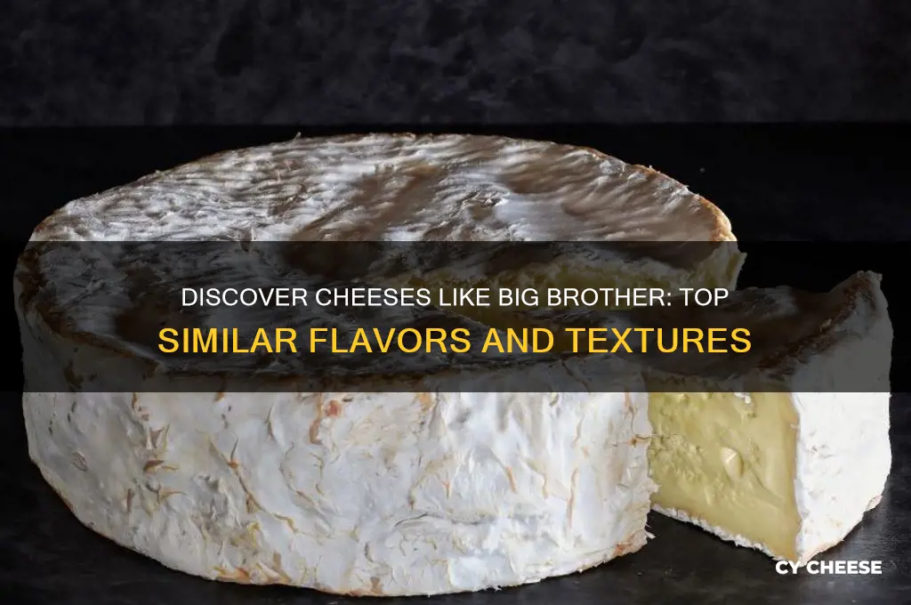 what cheese is similar to big brother cheese