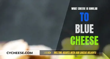 Blue Cheese Alternatives: Similar Cheeses to Try