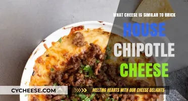 Discover Cheeses Similar to Brick House Chipotle for a Smoky Kick