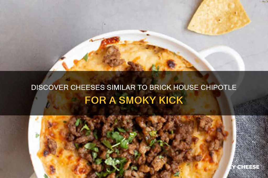 what cheese is similar to brick house chipotle cheese