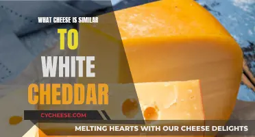 Exploring the Best White Cheddar Alternatives: A Cheesy Adventure