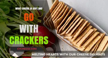 Soft Cheeses Perfect for Pairing with Crackers: A Delicious Guide