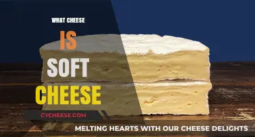 Understanding Soft Cheese: Types, Uses, and Creamy Varieties Explained