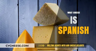 Exploring Spain's Iconic Cheeses: A Guide to Authentic Spanish Varieties