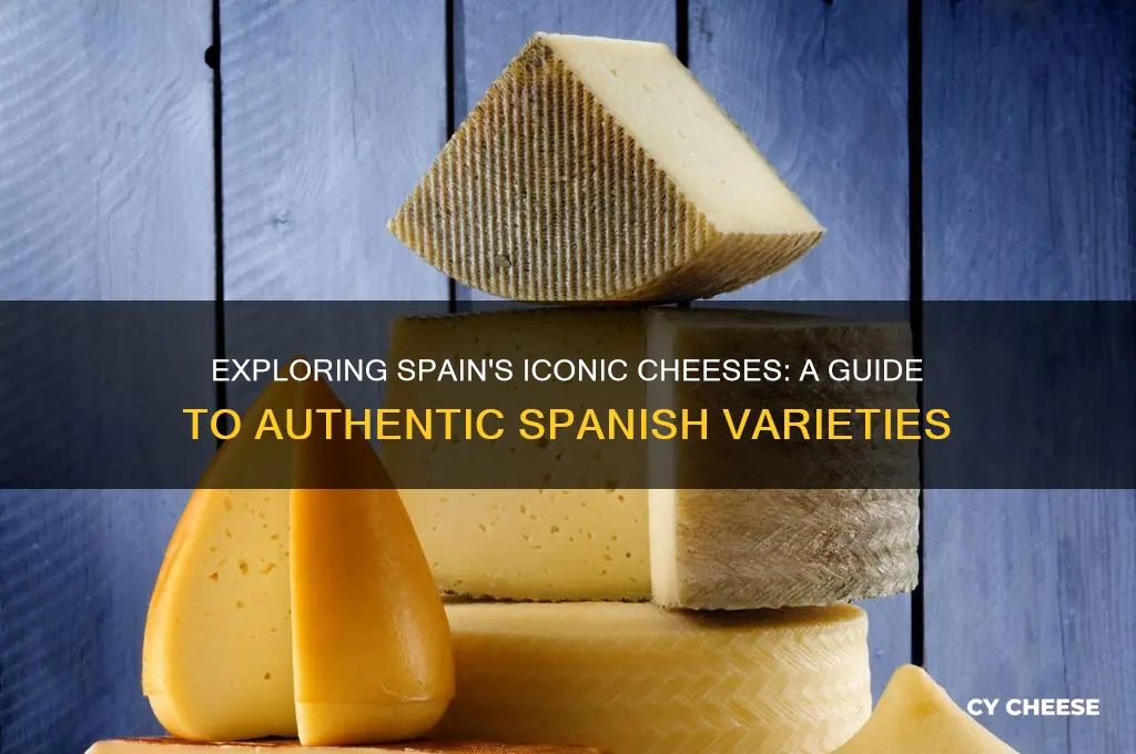 what cheese is spanish