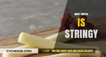 Why Some Cheeses Stretch: The Science Behind Stringy Cheese