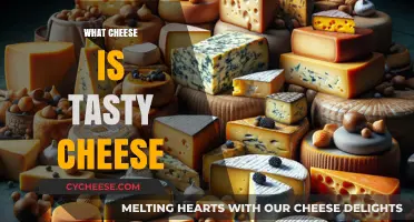 Discovering the Ultimate Tasty Cheese: A Flavorful Journey to Perfection
