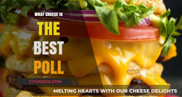 Cheese Wars: The Ultimate Taste Test Poll