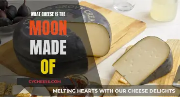 Moon Cheese: A Cheesy Lunar Mystery Explored
