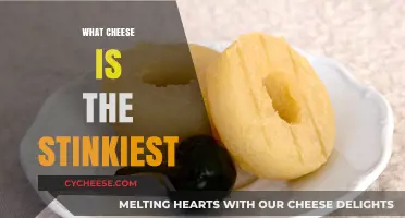 Unveiling the World's Stinkiest Cheese: A Bold and Pungent Journey