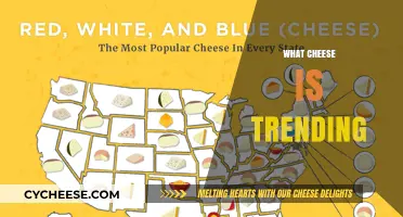 Discover the Hottest Cheeses Taking Over Palates Worldwide Right Now